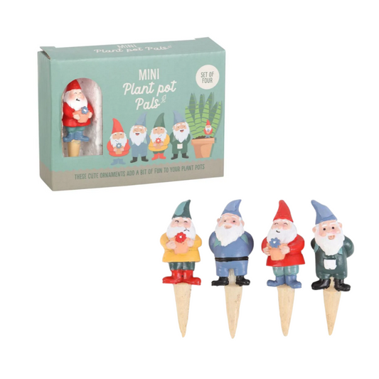 Pot Pals - Set of 4 mushroom/gnome