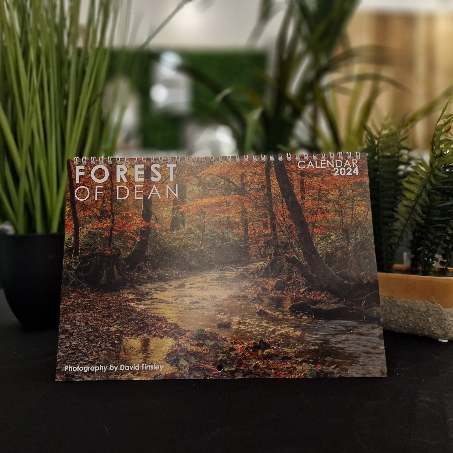 Forest of Dean Calendar 2024