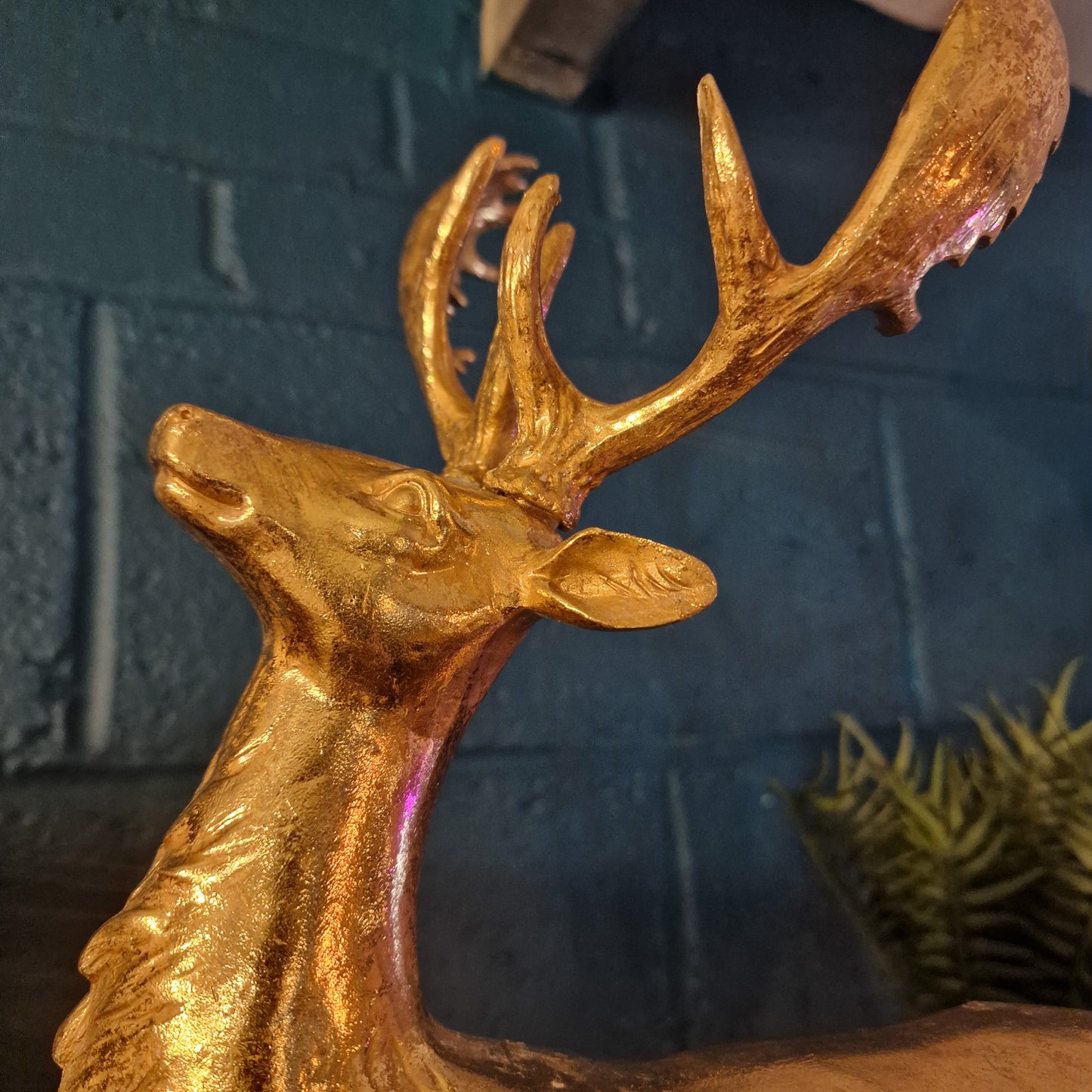 Gold Stag