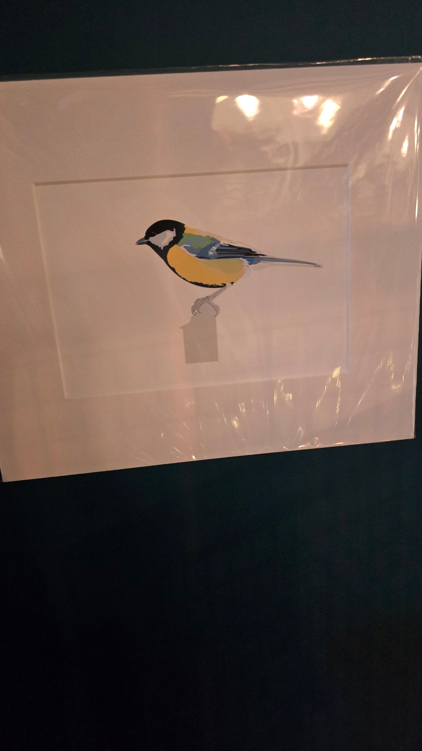 Dickie bird prints