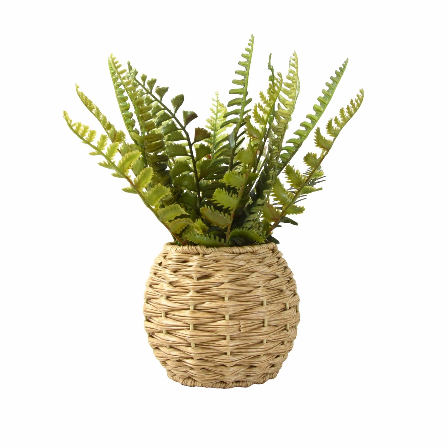 Artificial Succulents and Small Potted Plants – Lifelike and Low-Maintenance Home Décor