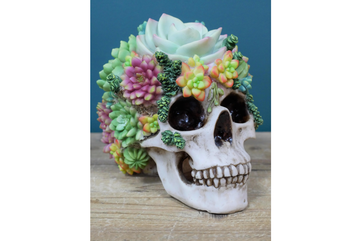 Resin Skulls