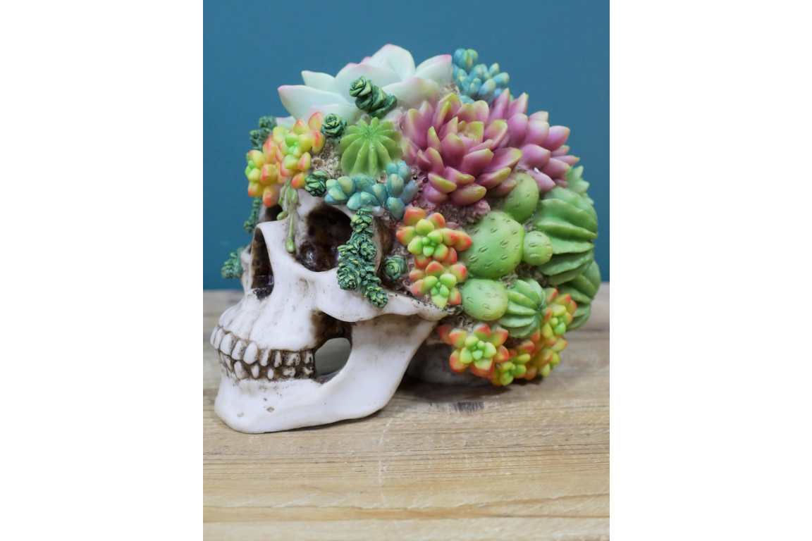 Resin Skulls