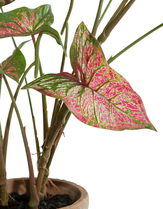 Artificial Potted Caladium Plant