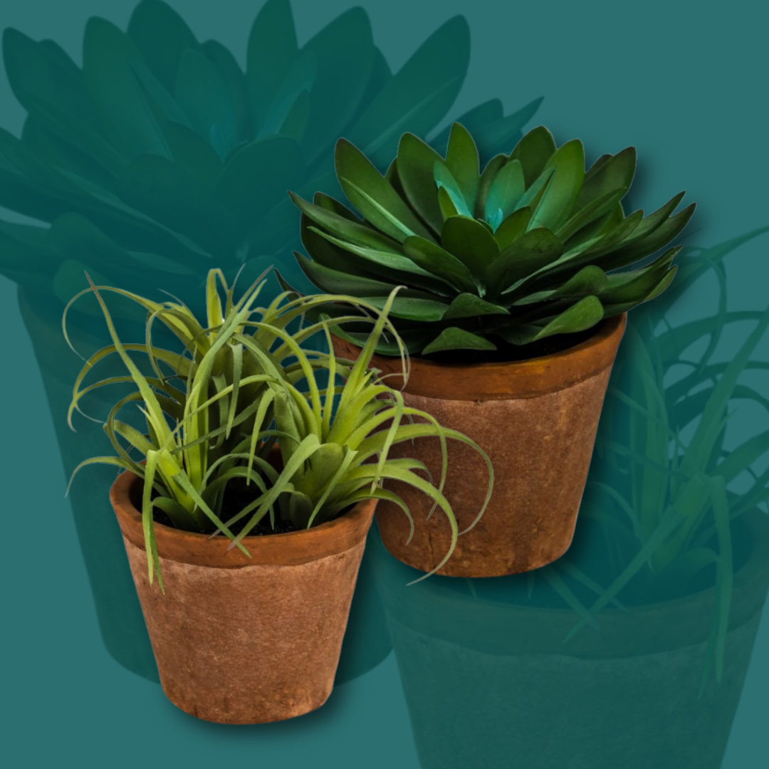 Artificial Succulents and Small Potted Plants – Lifelike and Low-Maintenance Home Décor