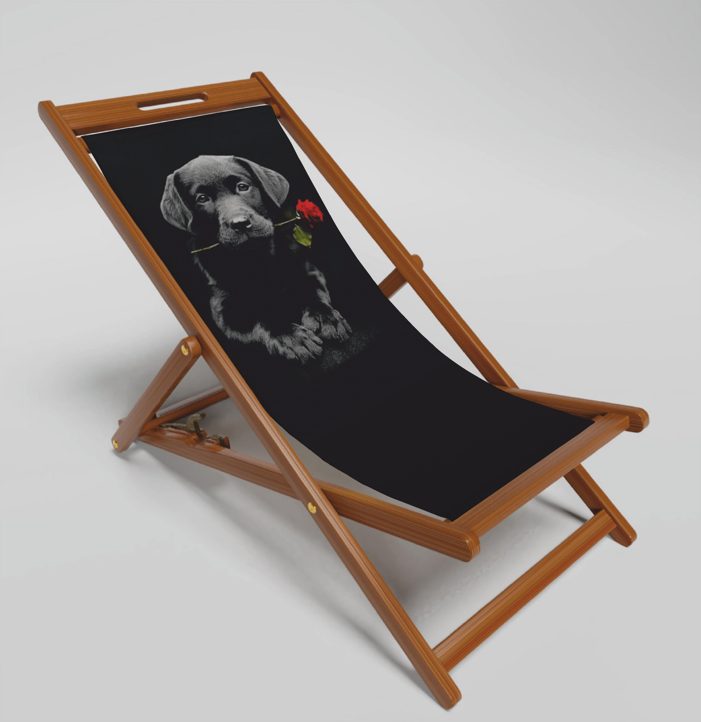 Deck Chairs - Animals