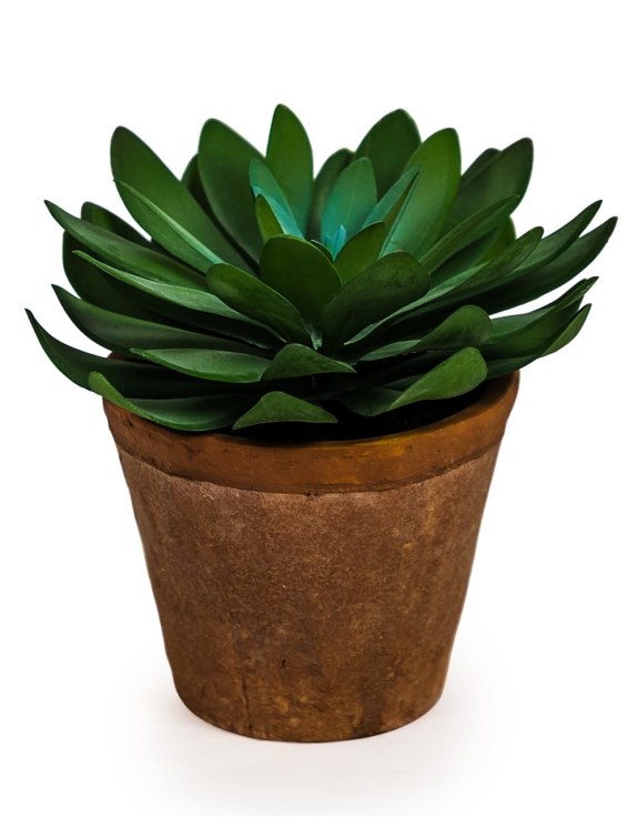 Artificial Succulents and Small Potted Plants – Lifelike and Low-Maintenance Home Décor