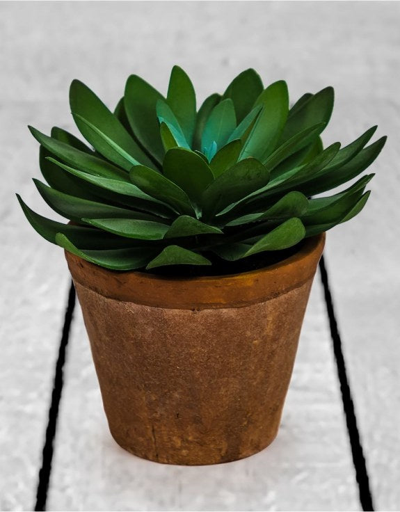 Artificial Succulents and Small Potted Plants – Lifelike and Low-Maintenance Home Décor