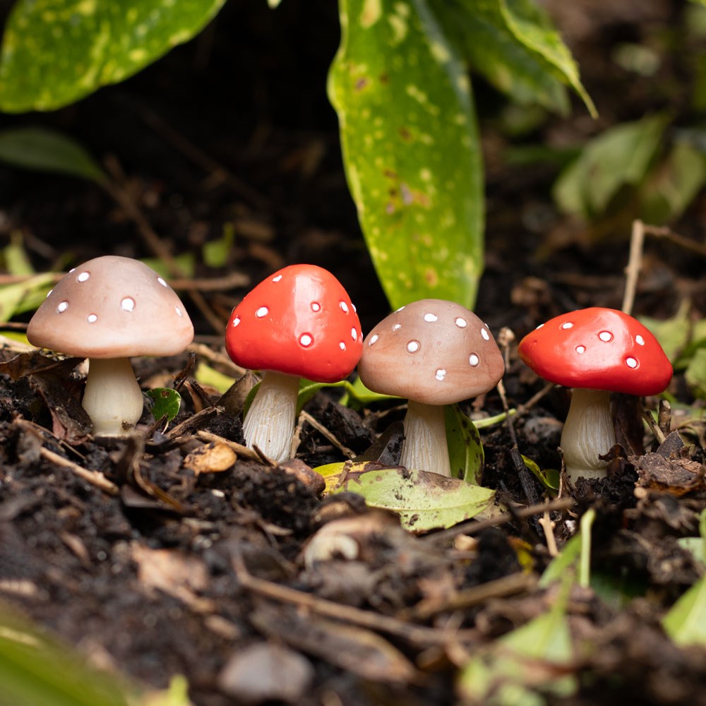 Mushroom Pot Pals - Set of 4