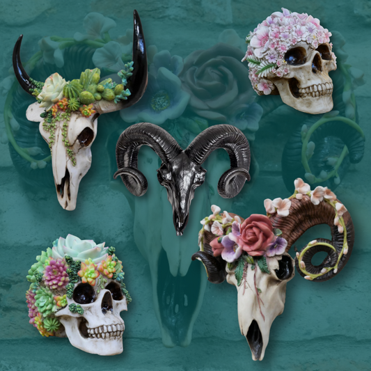 Resin Skulls