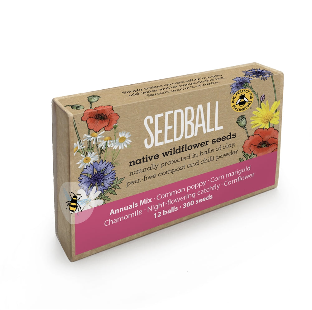 Wild Flower Seedballs Pack of 12 – Garden Seed Mix