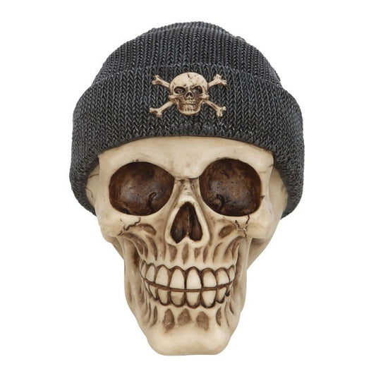 Resin Skull with Beanie/Headphones