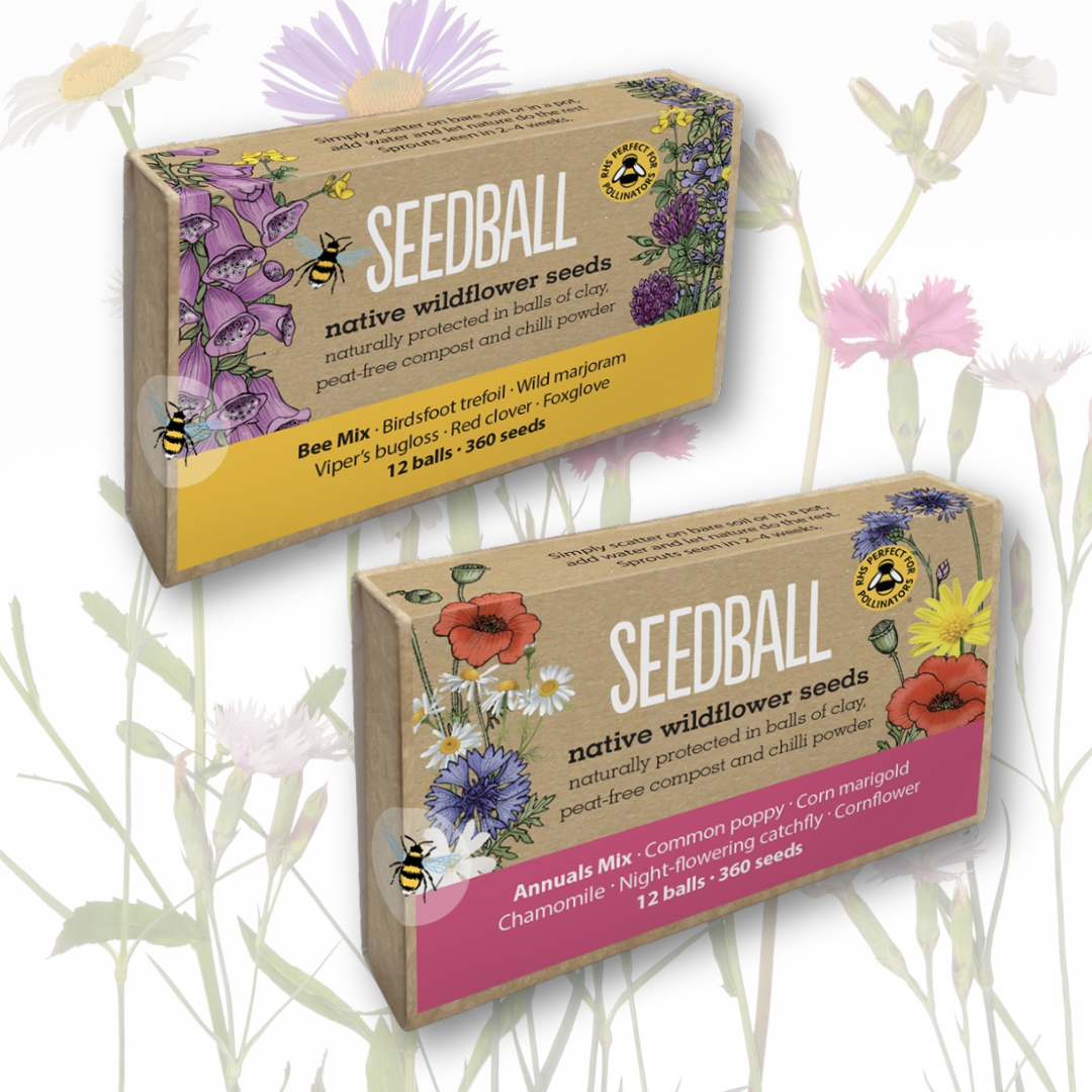 Wild Flower Seedballs Pack of 12 – Garden Seed Mix