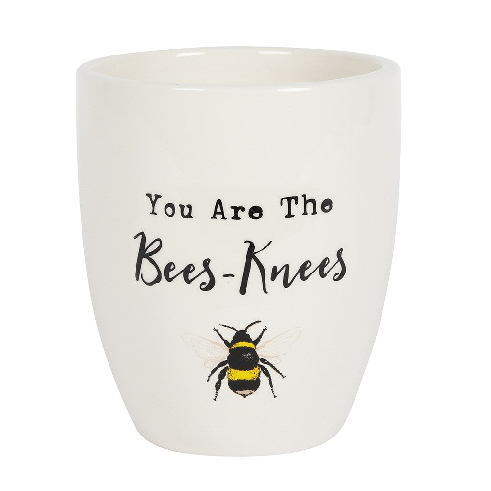 Bee Themed Plant Pots