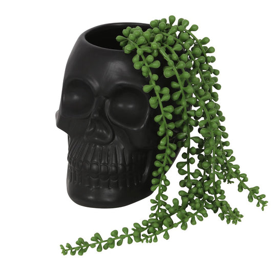 Black Skull Planter