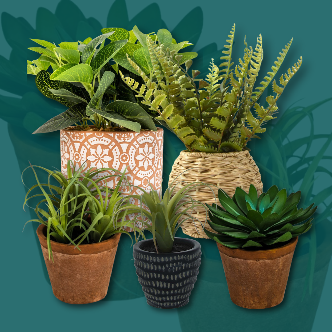 Artificial Succulents and Small Potted Plants – Lifelike and Low-Maintenance Home Décor