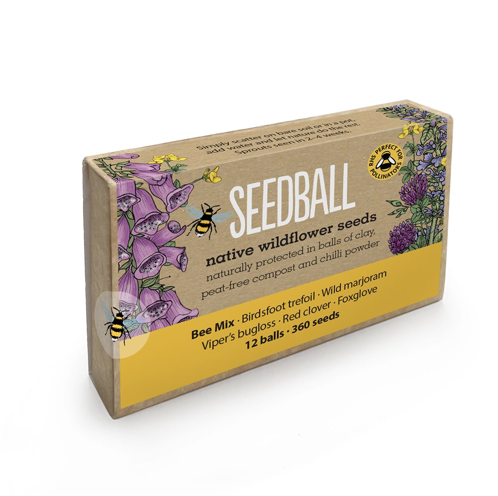 Wild Flower Seedballs Pack of 12 – Garden Seed Mix