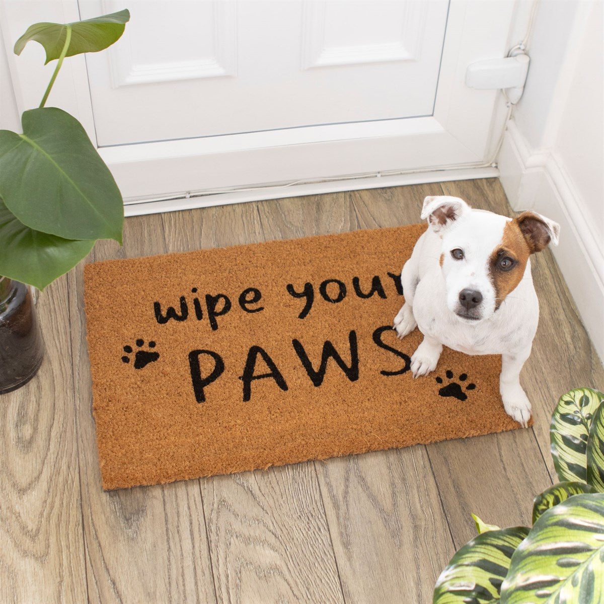 Coir Rubber Backed Doormats - Various Designs