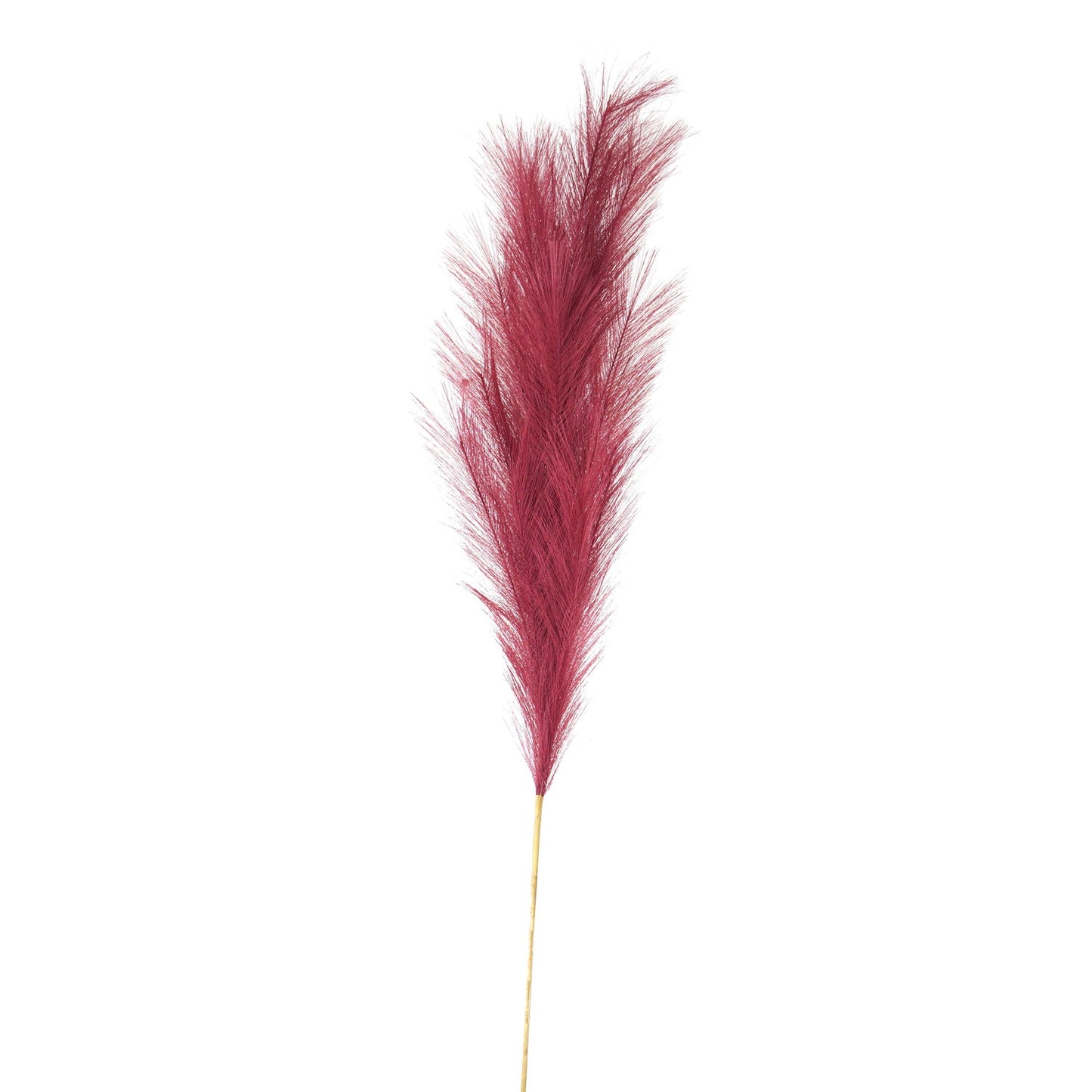 Large Faux Pampas Grass Stem