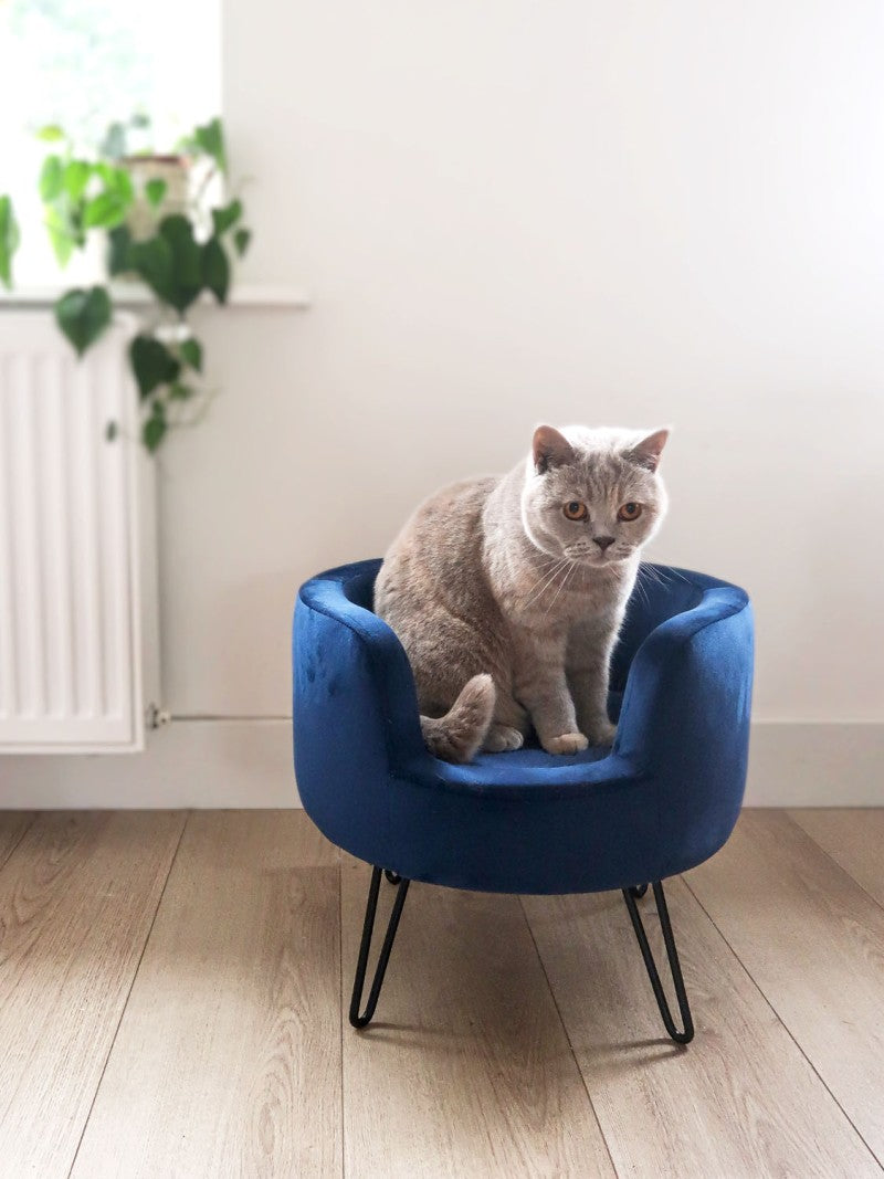 Royal Velvet Cat/Small Dog Throne Sofa