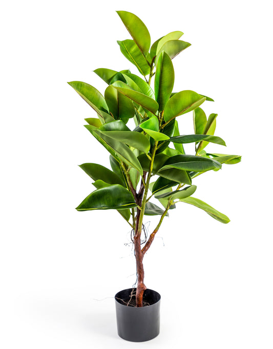 Artificial Rubber Plant