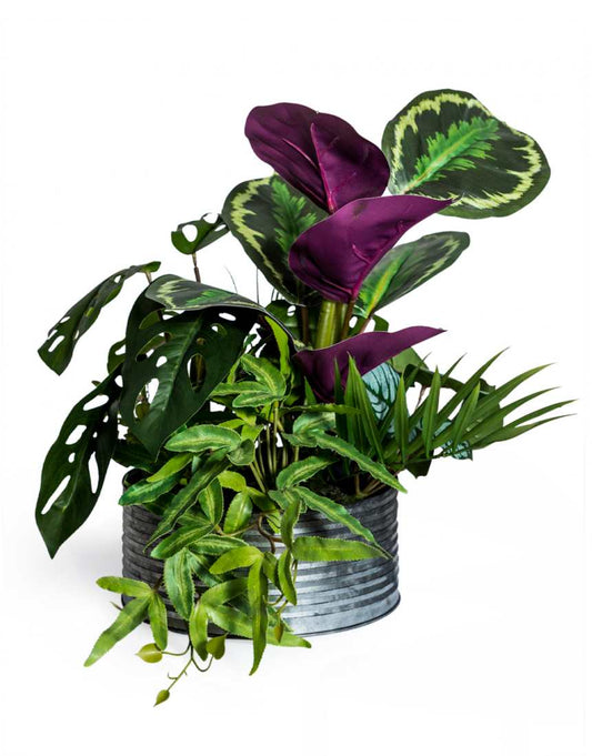 Ornamental Tropical Plant Arrangement (Tin Pot)