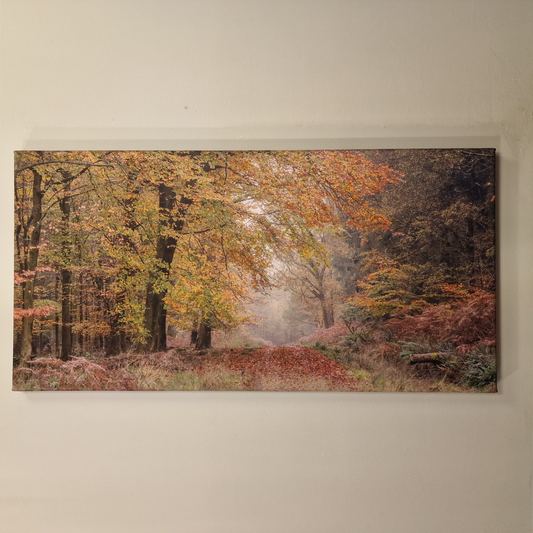 Autumn walk 24" x 12" canvas