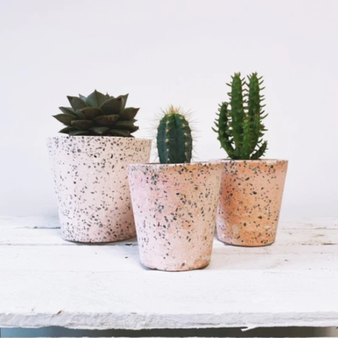 Terrazzo Cactus Pots