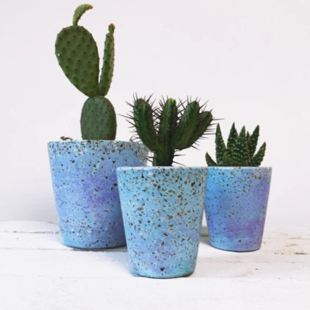 Terrazzo Cactus Pots