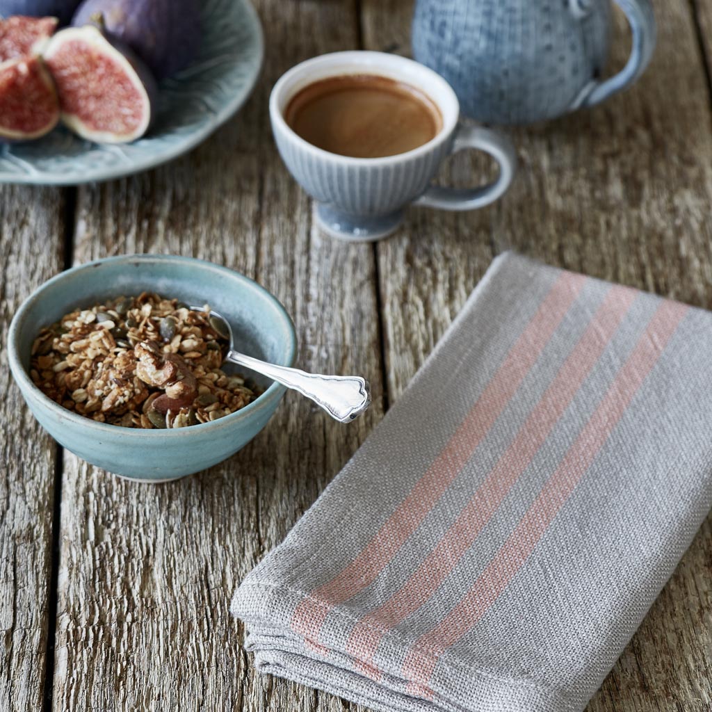 Weaver Green Maxime Linen & Coral Napkins (4 Pack)
