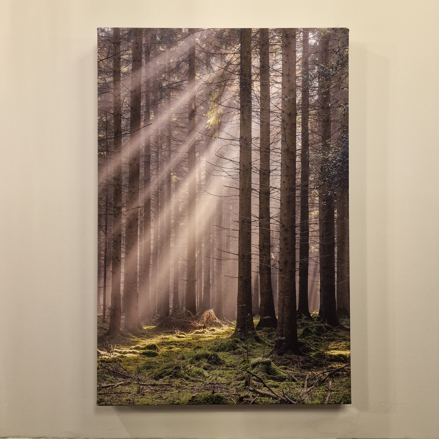 Woodland light Beams 16" x 24" canvas
