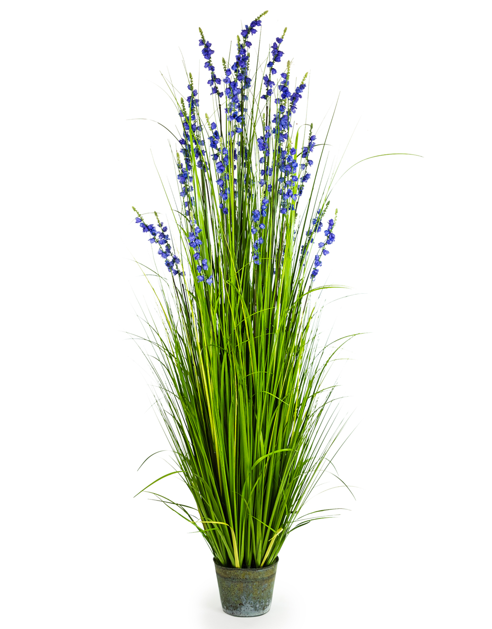 Ornamental Potted Grass - Purple Flower