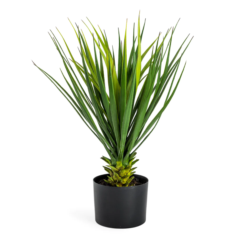 Faux Potted Yucca Plant