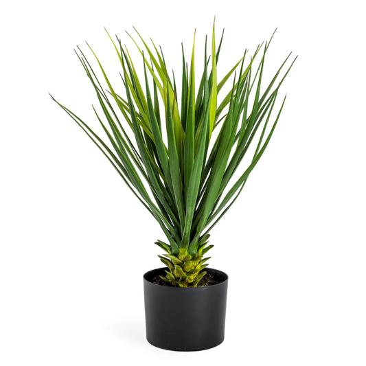 Faux Potted Yucca Plant