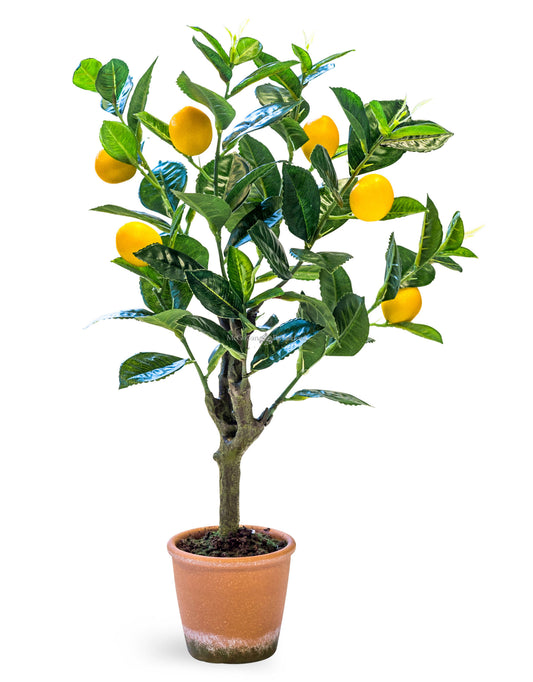 Artificial Lemon Trees